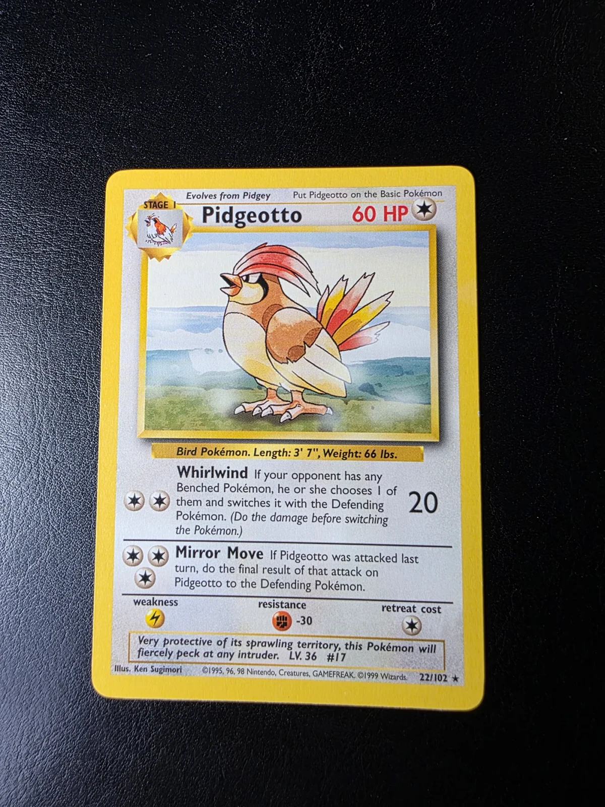 Voorkant Pidgeotto 22/102 uit Base Set Rare Near Mint - conditie Pokémon kaart productfoto NM- 1
