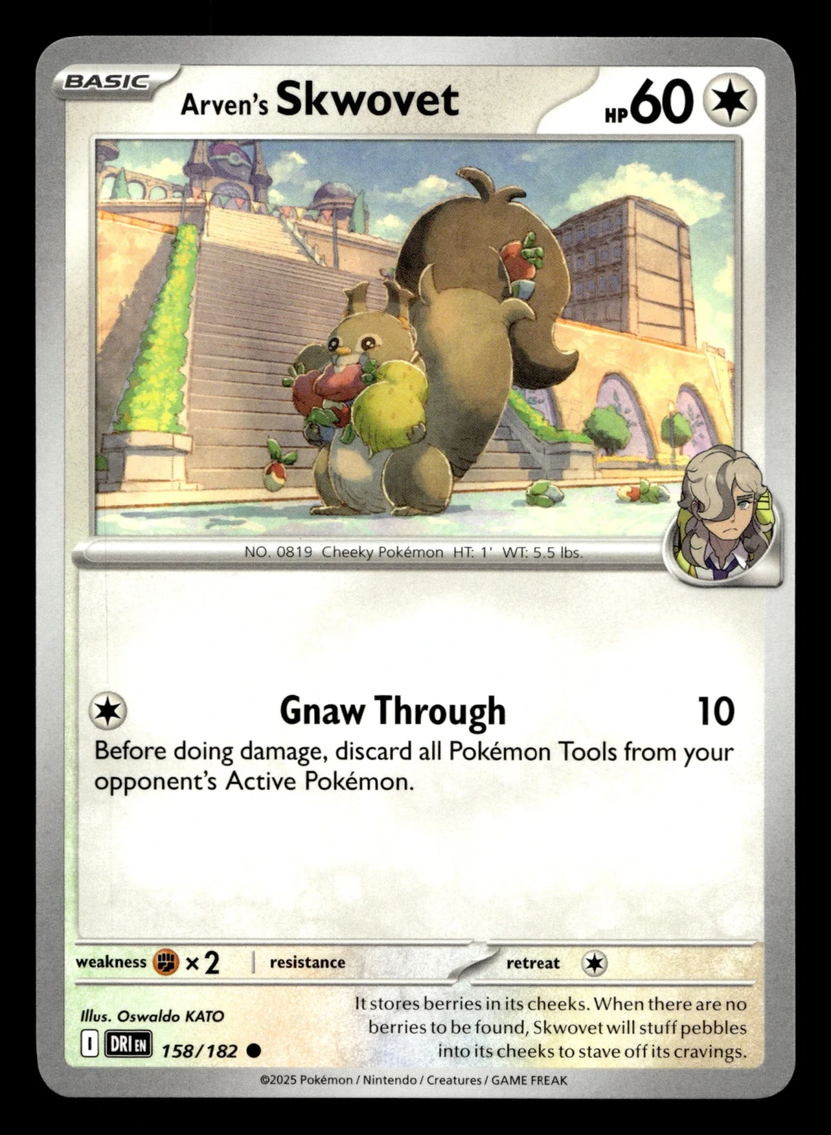 Voorkant Arven's Skwovet 158/182 uit Destined Rivals Common Near Mint conditie Pokémon kaart productfoto