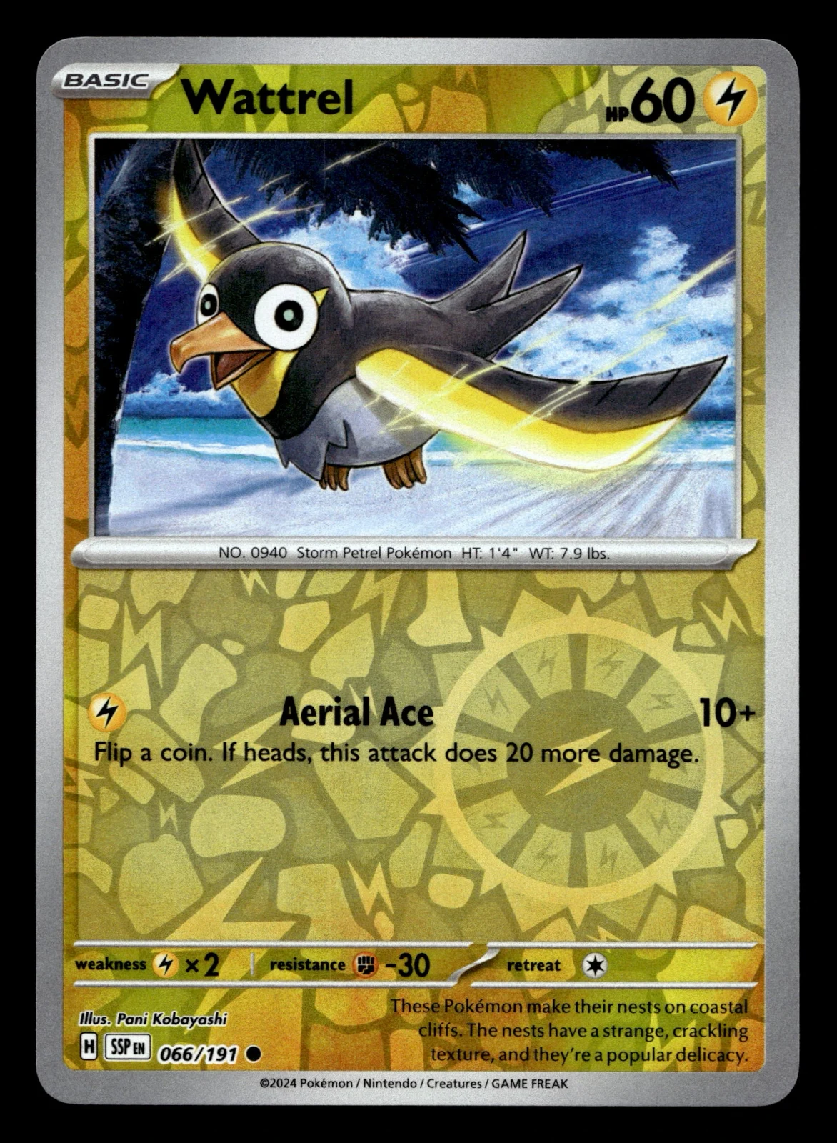 Voorkant Wattrel 66/191 uit Surging Sparks Common Near Mint conditie Pokémon kaart productfoto