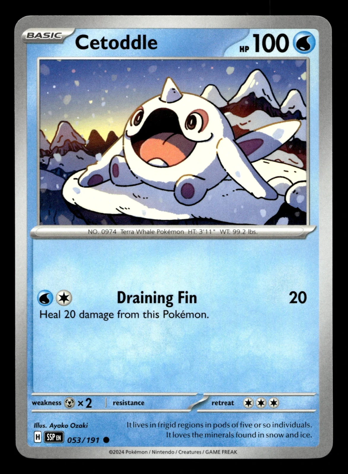 Voorkant Cetoddle 53/191 uit Surging Sparks Common Near Mint conditie Pokémon kaart productfoto
