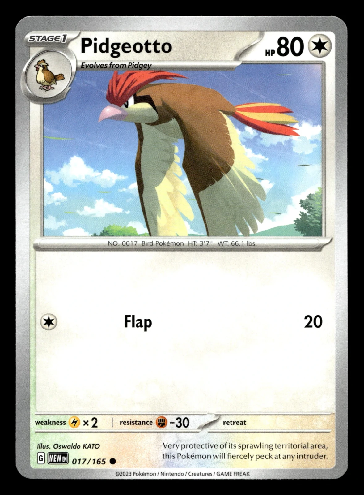 Voorkant Pidgeotto 17/165 uit 151 Common Near Mint conditie Pokémon kaart productfoto