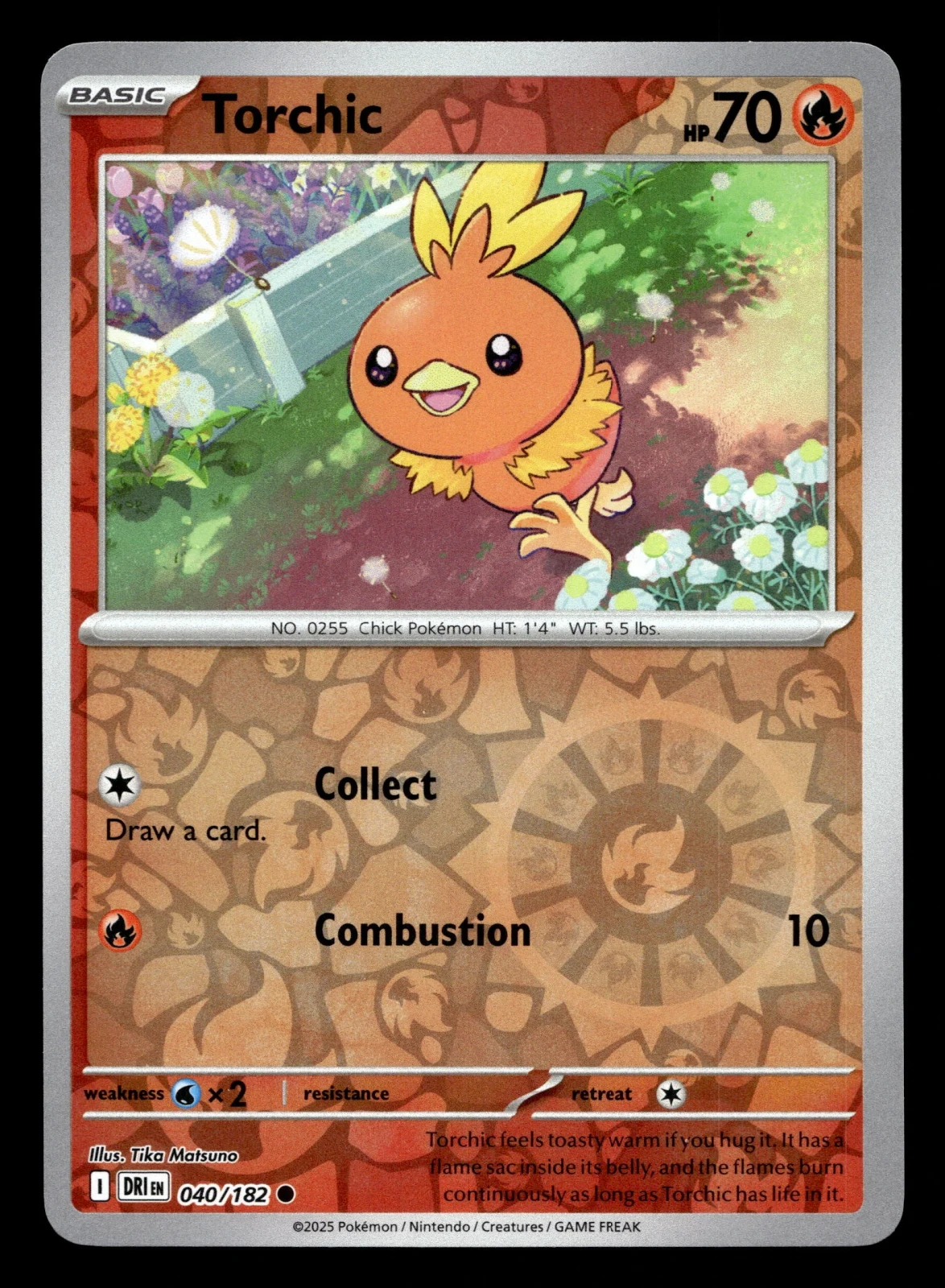 Voorkant Torchic 40/182 uit Destined Rivals Common Near Mint conditie Pokémon kaart productfoto
