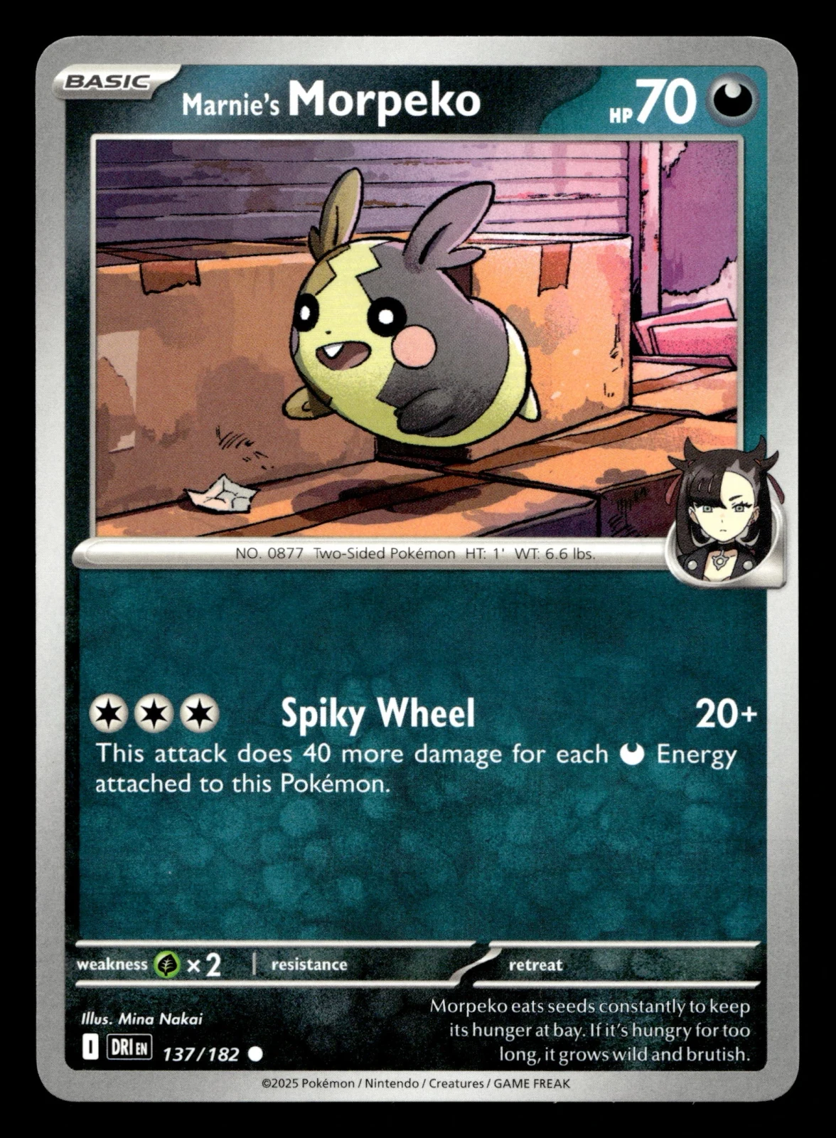 Voorkant Marnie's Morpeko 137/182 uit Destined Rivals Common Near Mint conditie Pokémon kaart productfoto