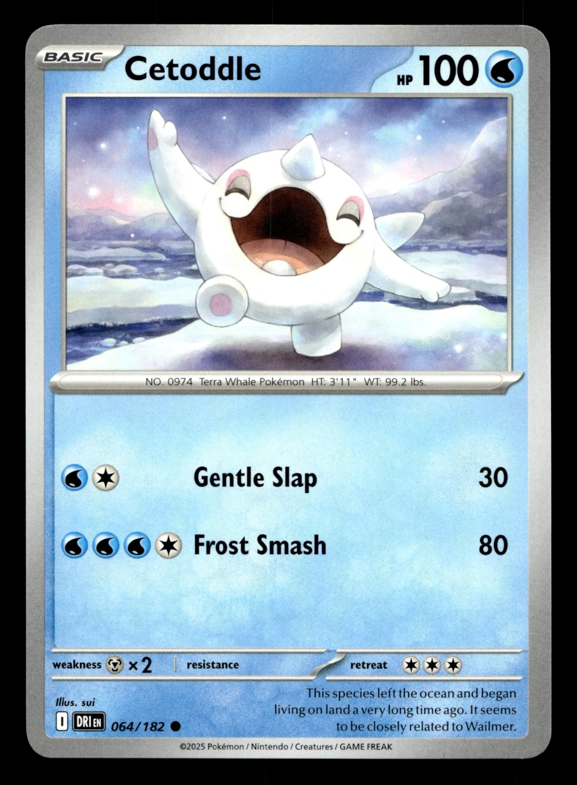 Voorkant Cetoddle 64/182 uit Destined Rivals Common Near Mint conditie Pokémon kaart productfoto